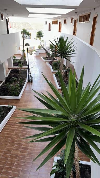 Ferienwohnung Modern,Strandnaehe, Club Olympus, Garten City Tenerife Playa Feñabe エクステリア 写真